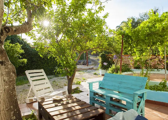 Janga Wonderland Buarcos